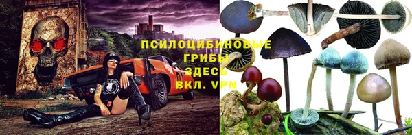 дурь Белокуриха