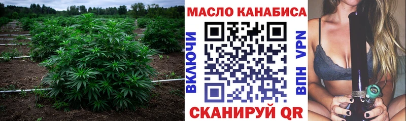 ТГК Wax  сколько стоит  Тогучин 