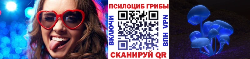 kraken ТОР  наркошоп  Тогучин  Галлюциногенные грибы Psilocybine cubensis 